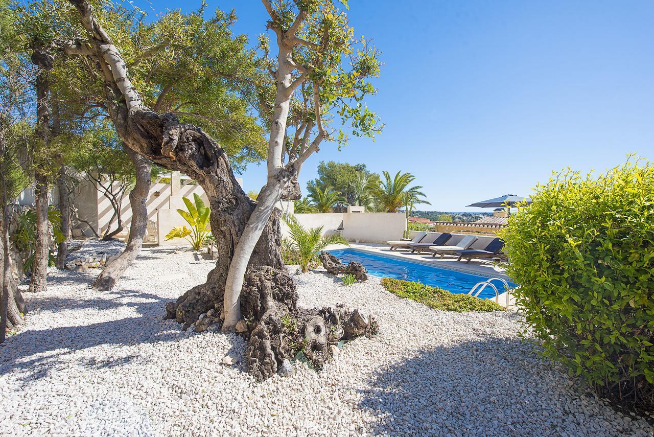 Villa Benavero Boutique Style Within Fenced Tropical Garden Calpe Zewnętrze zdjęcie