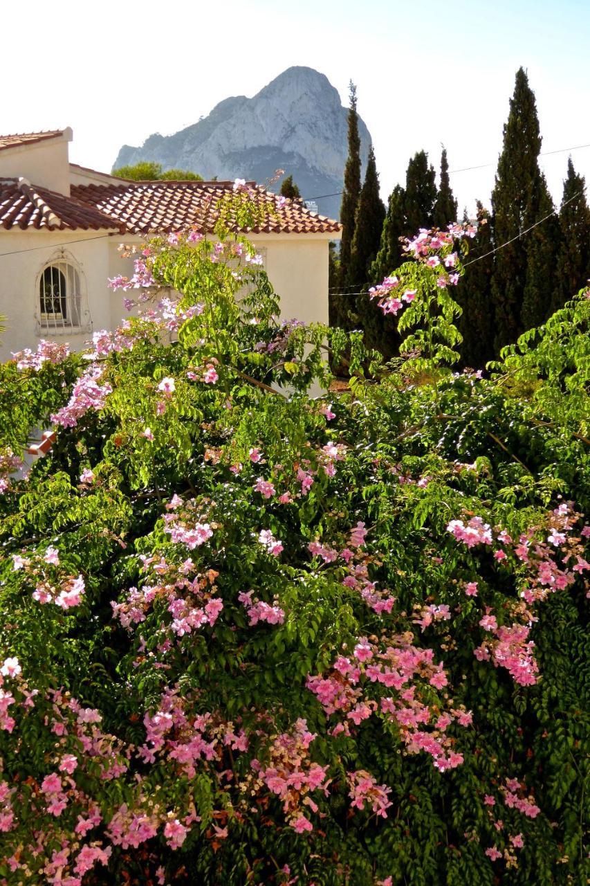 Villa Benavero Boutique Style Within Fenced Tropical Garden Calpe Zewnętrze zdjęcie